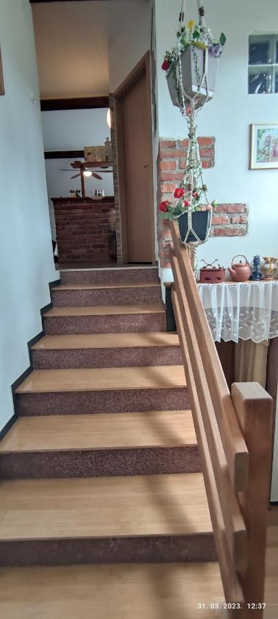 Appartamento Liammarco Plaški Esterno foto